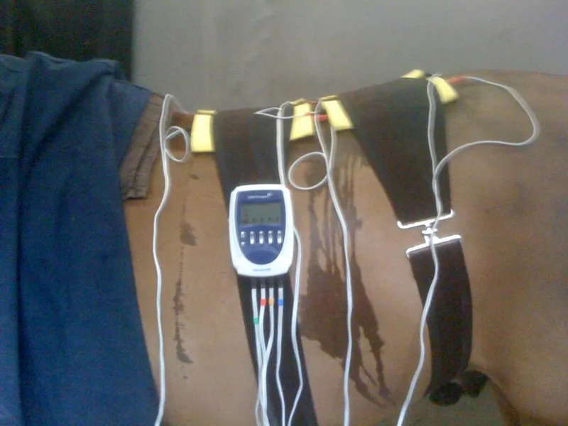  Ostéopathie équine, Passy, Cabinet William Hamouchi