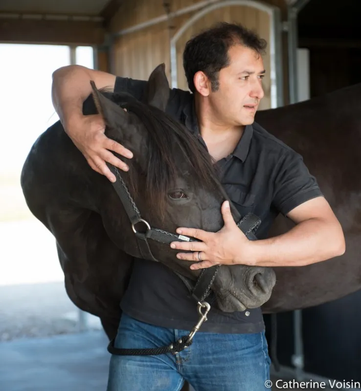  Ostéopathie équine, Passy, Cabinet William Hamouchi