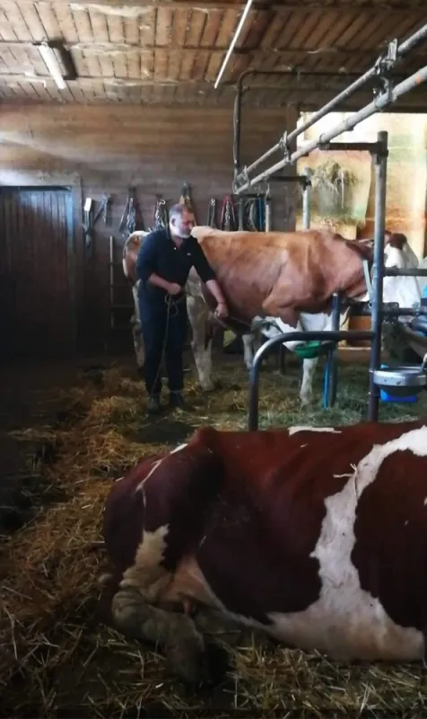  stage de préparation à l'examen d'osteopathe animalier, Passy, Cabinet William Hamouchi